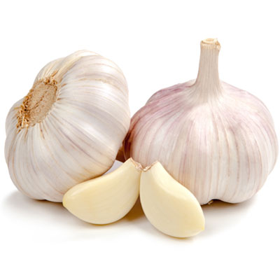 Garlic